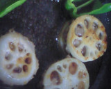 蓮根のはさみ焼き＊れもん照り焼き作り方5写真