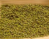 緑豆bubur kacang hijau作り方1写真