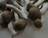 鮭マヨトマトの卵とじ作り方1写真