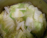 ☆簡単和食☆白菜のふわふわたまご閉じ煮作り方2写真