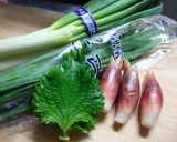 成宮寛貴くんちの薬味しゃぶしゃぶ♪作り方1写真