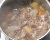 ワイバーン肉のビーフシチュー作り方3写真