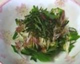 オクラに大葉＆みょうがのっけ盛り作り方8写真