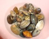 ★白菜deちょっぴり和風ボンゴレ★作り方1写真
