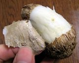 焼き里芋作り方1写真
