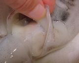 イカと大根の煮物作り方3写真