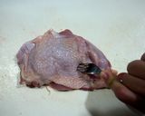 超かんたんテリヤキチキン作り方2写真