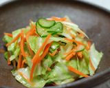 白菜の浅漬け作り方6写真