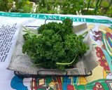 軽く湯通ししたパセリを沢山食べよう！作り方1写真