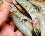 タコの海岸物語🐟🐙🍤🤣😂🤣😂作り方1写真
