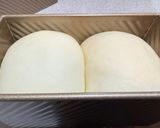 捏ねはHBでパネトーネ種ミルキー角食作り方9写真