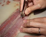さんまのロール焼き作り方7写真