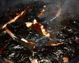 ささみのコチジャン焼き作り方3写真