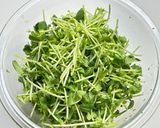 豆苗とツナの無限レンジおひたし作り方1写真