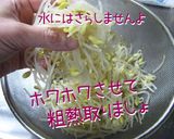 お願い【もやし・ニラのお浸し】食うてみて作り方5写真