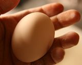 鉄フライパンでガトーショコラ作ってみまし作り方2写真