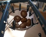 干ししいたけ　（簡単干すだけ）作り方1写真