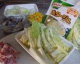 アッと言う間の白菜クリームシチュー作り方1写真