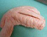 本格的！？手羽先の塩焼き作り方2写真