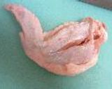 本格的！？手羽先の塩焼き作り方3写真