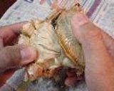 毛がにのおいしい食べ方(捌き方詳細説明付き)作り方4写真
