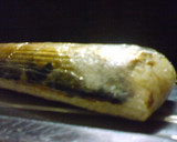美味♪秋刀魚の燻製棒寿司仕立て作り方6写真