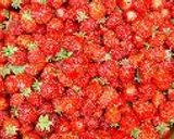 Strawberry Margarita作り方5写真