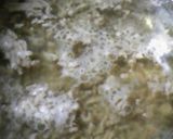 なすの肉味噌煮作り方1写真