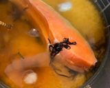 鮭と塩胡椒の炊き込みご飯作り方1写真