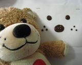 ケアベア、アンパンマン何でもキャラケーキ作り方4写真