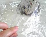 富山の味：とろろ昆布おにぎり(おまけ付)作り方3写真