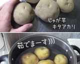ころころころりん♪【和コロ】味付け1つさ作り方1写真