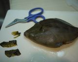 かわはぎの刺身を肝で食べてみよう！！作り方3写真