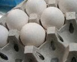 だし巻卵作り方1写真