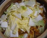 -さっぱり鶏鍋？中華？スープ＾＾ﾉ-作り方5写真