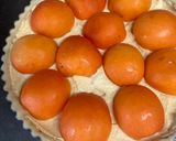 フレッシュ杏のタルト作り方15写真