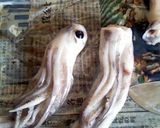 大好き手作り塩辛作り方3写真
