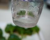 結構長持ち♫大葉の保存法byオカン作り方2写真
