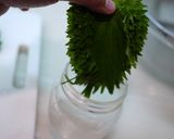 結構長持ち♫大葉の保存法byオカン作り方3写真