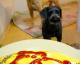 簡単!スピードオムライス作り方6写真