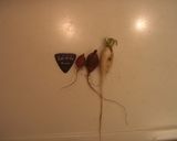 なり損ねた野菜のサラダ作り方1写真