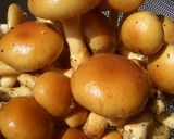 なめことしらすの大根おろし和え作り方4写真