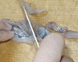 切れない包丁でも作れる鯵のタタキ(なめろ)作り方10写真