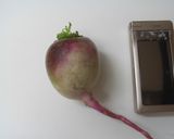 色鮮やか☆紅芯大根の甘酢漬け作り方1写真