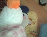 |・)ﾉ　ある日作った初めてのベーコン。作り方14写真