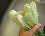 シャキシャキで美味しい♪水菜の塩昆布漬け作り方1写真