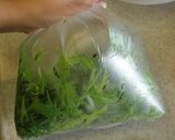 シャキシャキで美味しい♪水菜の塩昆布漬け作り方3写真
