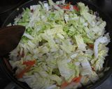 白菜と豚ひき肉のマーボー風作り方5写真