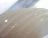 葱油烏賊花作り方4写真