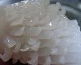 葱油烏賊花作り方11写真